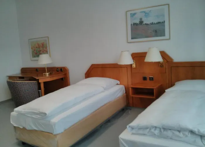 Willy Frankfurt 3* Fráncfort del Meno